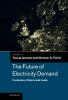 The_future_of_electricity_demand