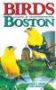 Birds_of_Boston