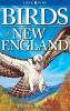 Birds_of_New_England