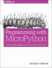 Programming_with_MicroPython